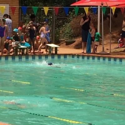 Sarahs Swim Academy Outdoor Gala 2015 13