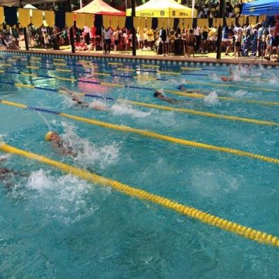 Sarahs Swim Academy Interhouse Gala 2016 13