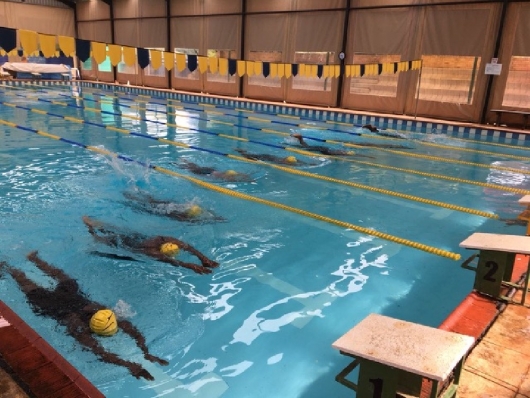 Adult Accelerated Swim Course 1: Learn to Swim